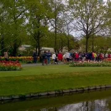 Keukenhof 2018