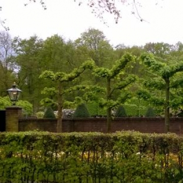 Keukenhof 2018