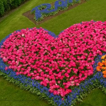 Keukenhof 2018