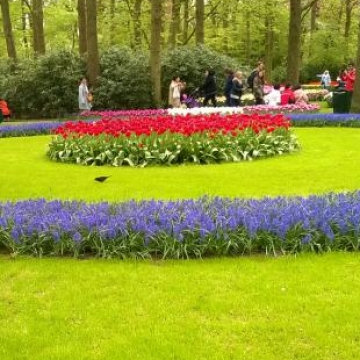 Keukenhof 2018