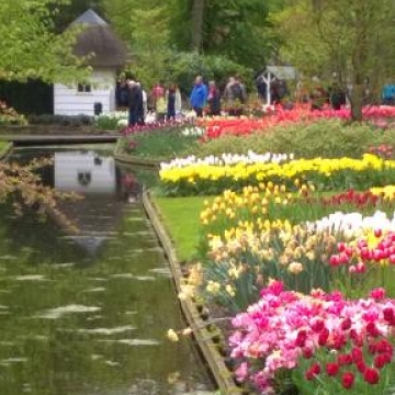 Keukenhof 2018