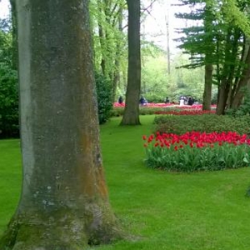 Keukenhof 2018