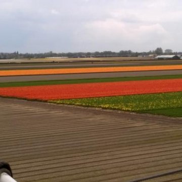 Keukenhof 2018