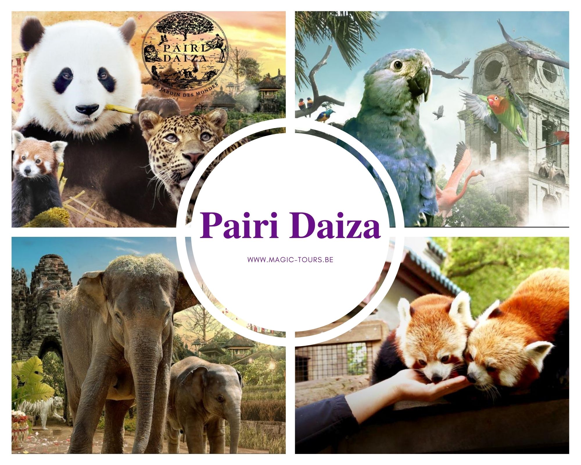 Pairi Daiza - 13-09-25